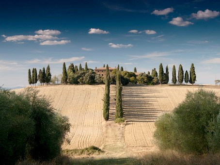 consulenza turistica firenze